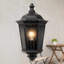 Adelhard 42.5cm H Outdoor Wall Lantern