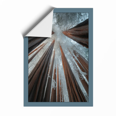 Towering Forest Canopy Scandinavian - Print
