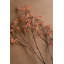  Ensemble de 6 tiges de fleurs de riz artificielles de 40 po de hauteur-1646657360