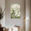 Pivoines blanches Harnek II-108547987