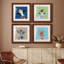 «Playful Nature», ensemble de 4 impressions sur toile encadrées-1525193671-1525193673