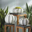 Chenery Ceramic Pot Planter-73484414