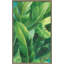 Palmes des tropiques II - peinture-718719494-718719600