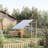 Mitzel Chicken Coop with Chicken Run-1023050298