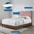 Rhiannon Diamond Tufted Upholstered Performance Velvet Queen Bed-1919898494