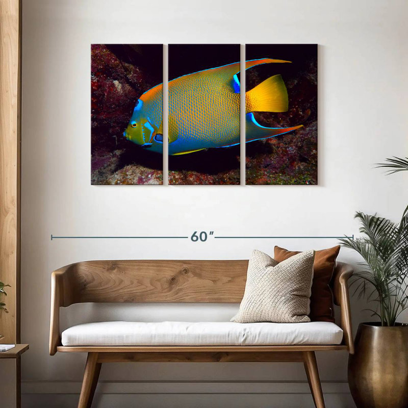 Brampt Glowing Queen Angelfish, 28" H x 45" W