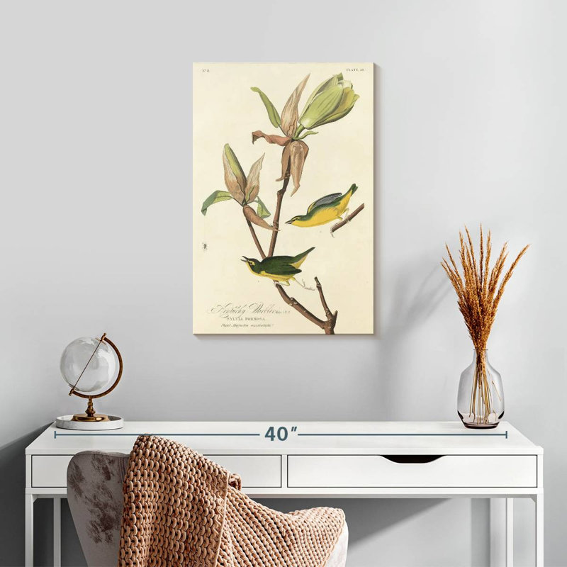 Brampt Kentucky Warbler, 24" H x 16" W