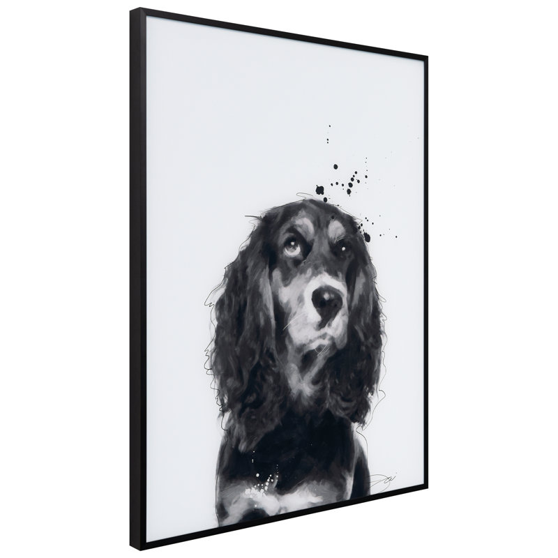 " Cocker Spaniel "