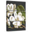Harnek Magnolia-108662573