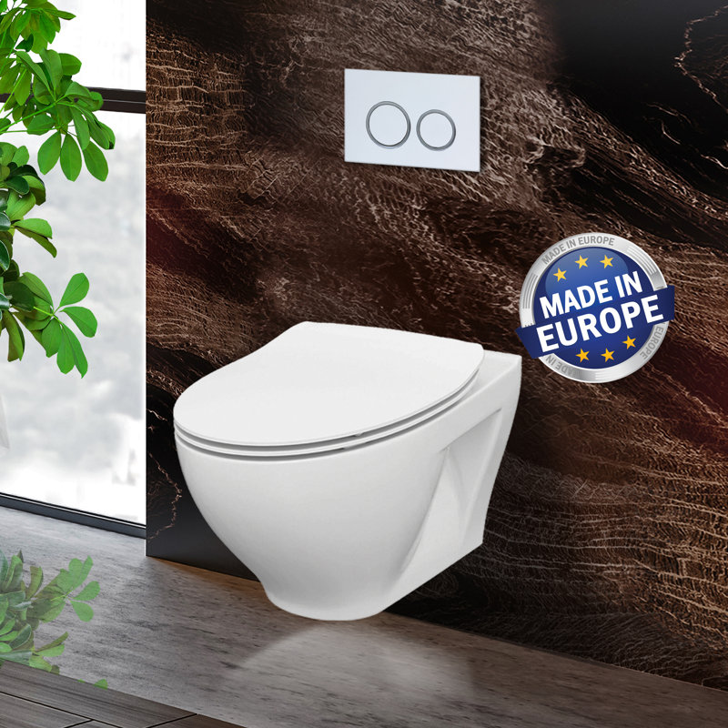 Stormon Dual-Flush Elongated Wall Hung Toilet (Seat Included)