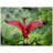 Pink Bird Print - Tropical Nature Wall Art - Flamingo Bird Canvas Poster - Soft Pink Wildlife Artwork - Coastal Tropical Decor - Serene Nature Wall Hanging - Modern Home Decoration Art Print-1636538356-1636538360