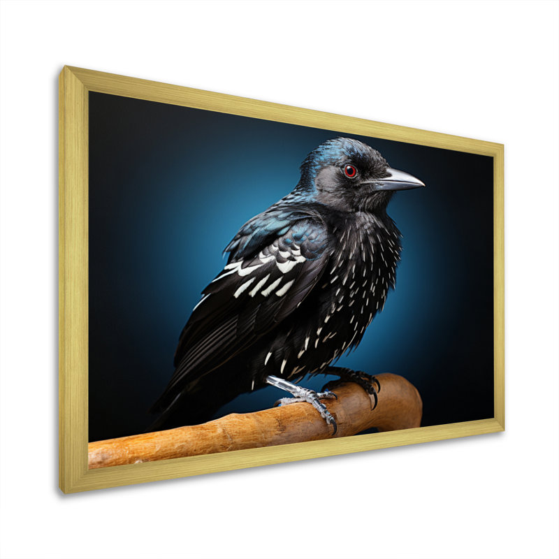 Portrait d'oiseau I - animaux, reproductions d'art mural, H 24 po x l 32 po x P 1 po, Encadrement doré