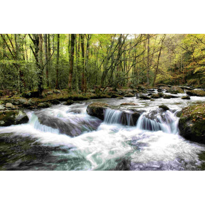 " Waterslide " by Danny Head