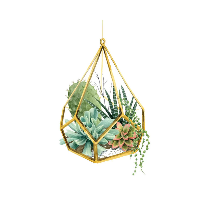 Wild Terrarium II by Grace Popp - Wrapped Canvas Print, 30.48cm H x 20.32cm W x 1.91cm D