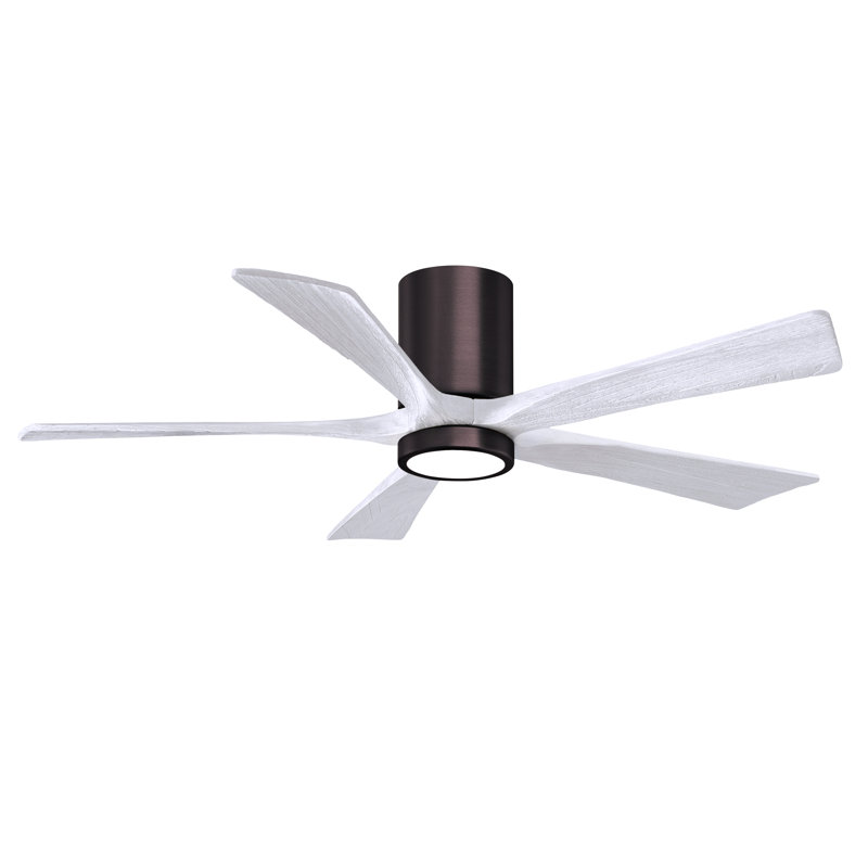 Irene Flushmount Light Kit 5 Blade LED Ceiling Fan, Brushed Bronze, 52", Matte White