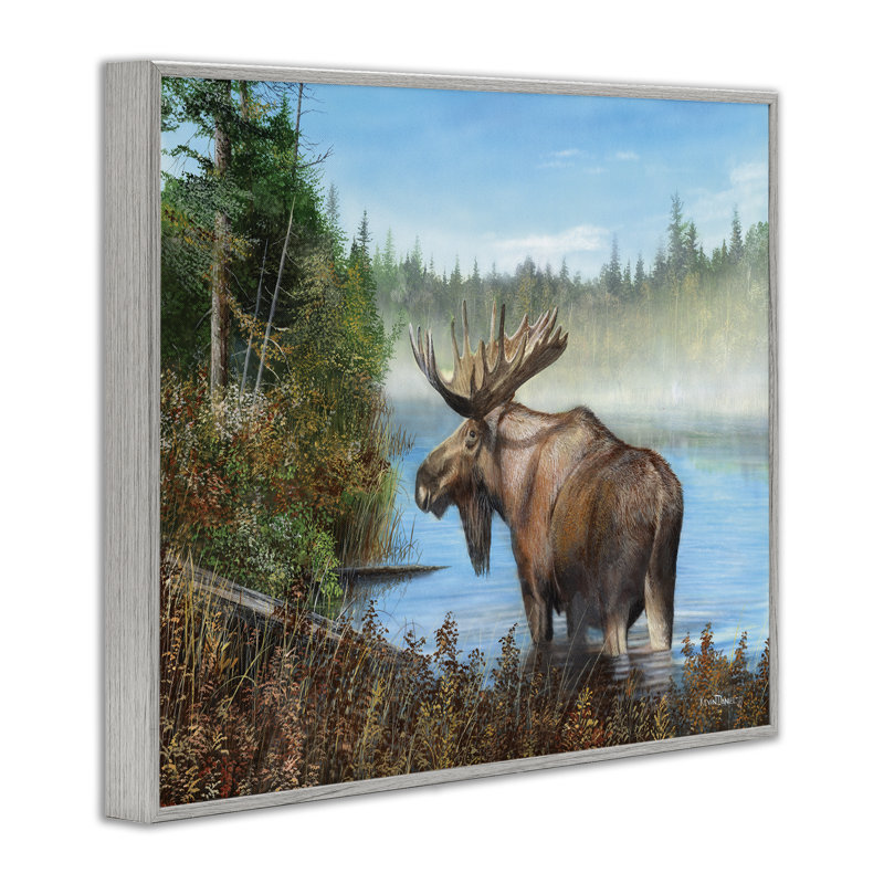 «Rustic Moose Wading in Shore», estampe numérique par Kevin Daniel, Estampe numérique Farmhouse, H 11 po x l 14 po