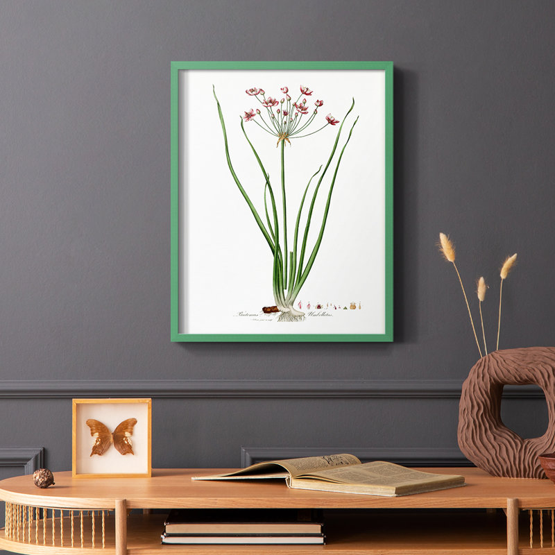 Rose Botanical II, reproduction encadrée - bois massif, Vert, H 10 po x l 8 po