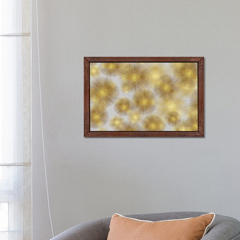 Sunburst Cluster by Abby Young - Print on Canvas, 101.6 cm H x 66.04 cm W, Brown Floater Framed