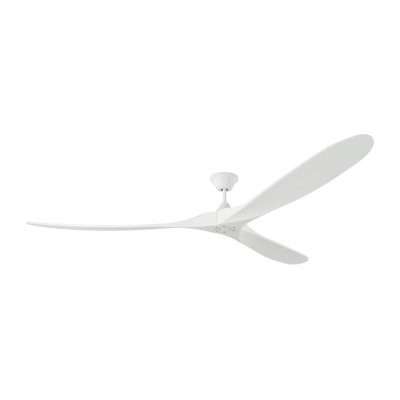 Obsidian Ceiling Fan
