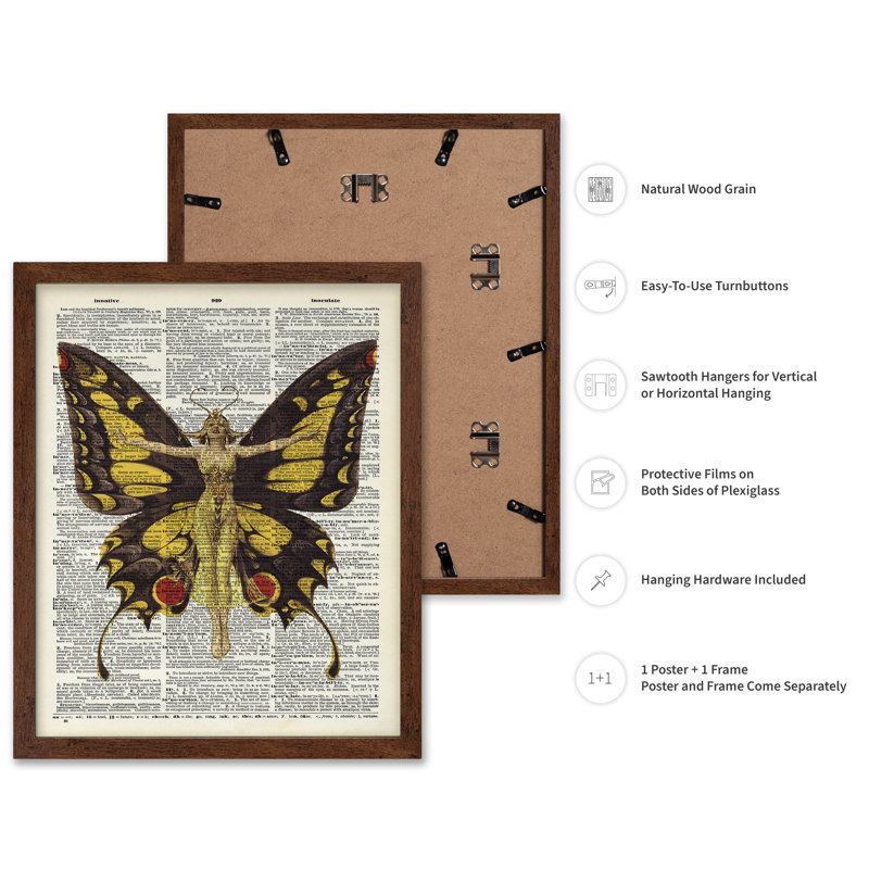Reine des papillons, Affiche, H 08 po x l 10 po, Encadrement brun