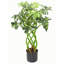 70cm Faux Arboricola Plant in Pot Liner