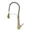 Belfry Kitchen Dunfee Pull Out Kitchen Faucet-1067238068