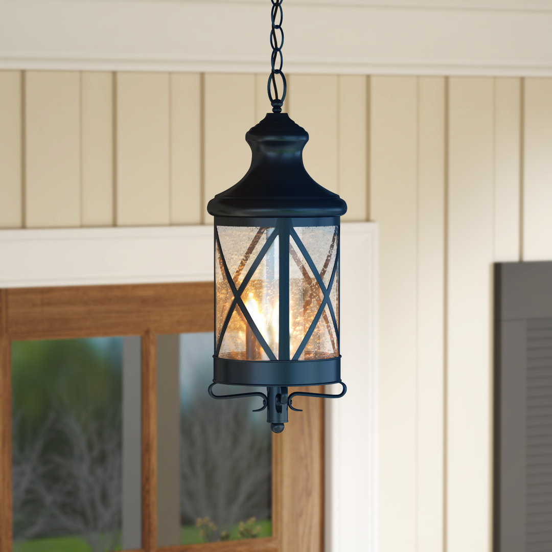 Luqi 3 - Light Outdoor Hanging Lantern Gracie Oaks