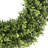 UV Boxwood Round Wreath 17.5"