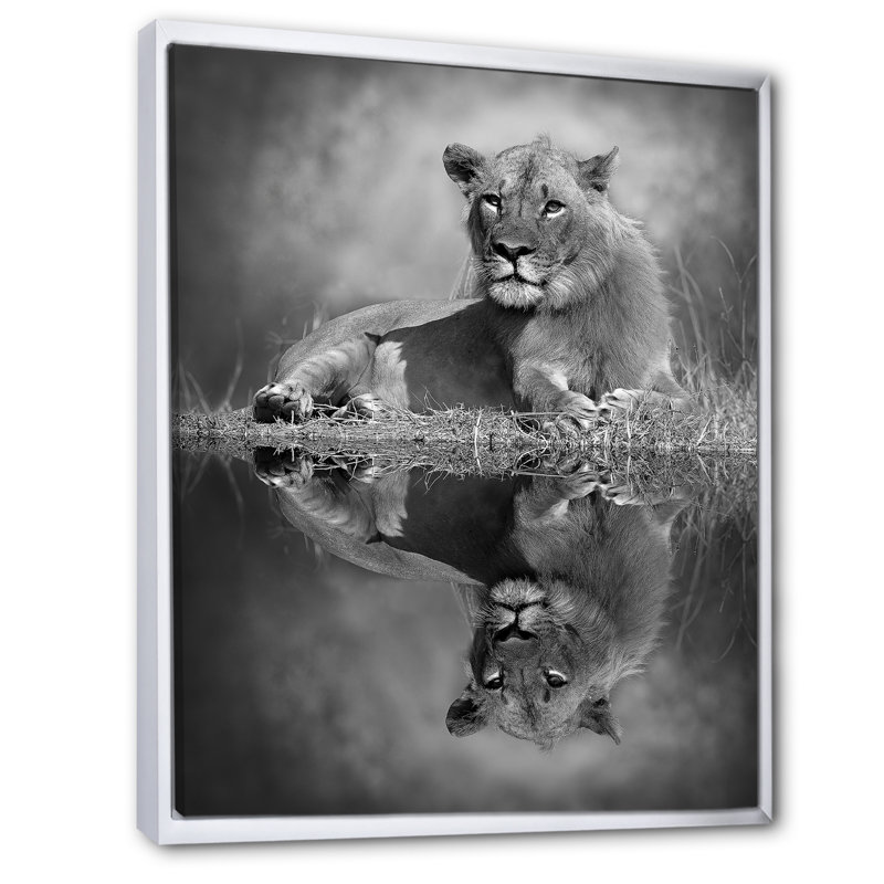 Lion en noir et blanc II - Impression sur toile, H 40 po x l 30 po, Cadre flottant blanc