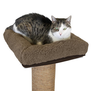  MECOOL Cat Scratching Post Premium Basics Kitten Scratcher  Sisal Scratch Posts with Hanging Ball 22 for Kittens or Smaller Cats (22  inches for Kitten, Gray) : Pet Supplies