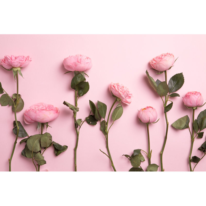 Flowers Composition by Amax Photo - Wrapped Canvas Print, 51cm H x 76cm W