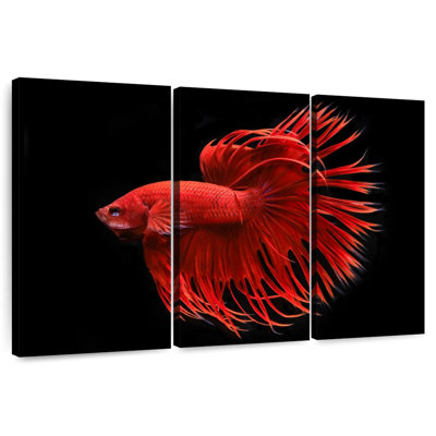 Grandiose Red Betta Fish