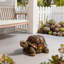 Tabouret de statue de tortue de jardin 18 po, sculpture en résine d'animaux simulés, tabouret décoratif polyvalent pour le salon, le balcon, le bureau, le jardin, la cour et la pelouse