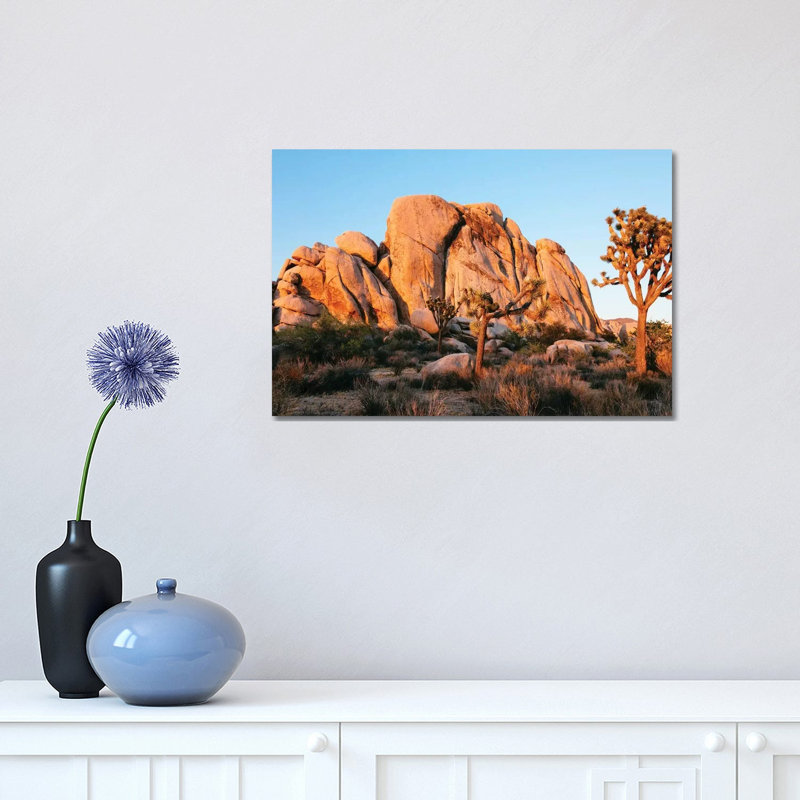 Sunset At Joshua Tree National Park, California by Matteo Colombo - Wrapped Canvas Print, 30.48 cm H x 45.72 cm W