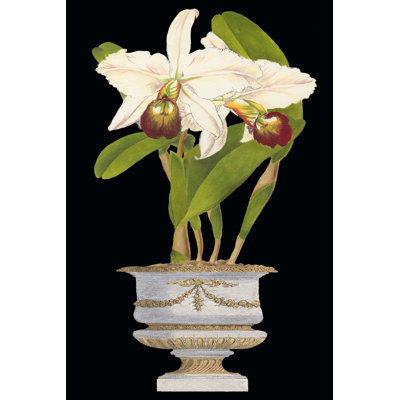 Orchids In Silver II 1 Piece Wrapped Canvas Wall Art