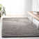Vandoren Shag Performance Rug