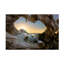 «Open the Window» par Dmitry Kulagin, reproduction de photo sur toile tendue-113812135