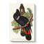 Great-Billed Black Cockatoos by Elizabeth Gould - Wrapped Canvas-55359801