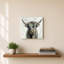 Vache Highland-1637911681