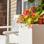 Argentine Trough Planter-94137288
