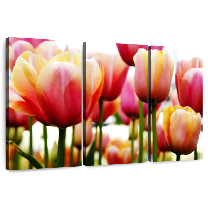 Harnek Fresh Tulips, 36" H x 57" W