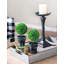 Topiaire buis en pot-22214119