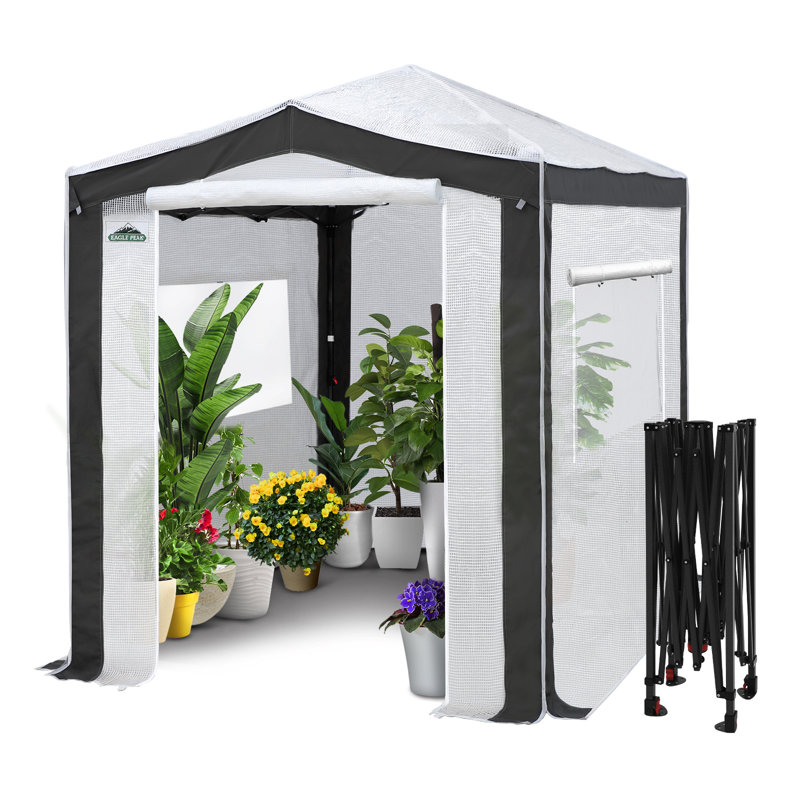 6' W x 8' D Hobby Greenhouse, White/Gray