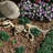 Raptor Skeleton Garden Statue