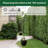 Black Solar Powered Integrated LED Pathway Light