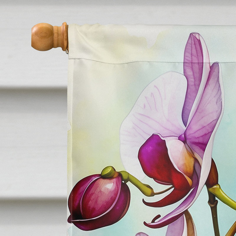 Cherry Blossoms House Flag, Phalaenopsis Orchids