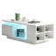 Coffee Table with Storage