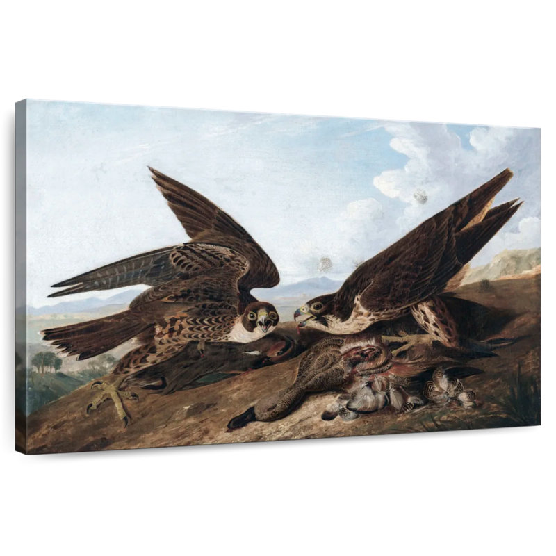 Peregrine Falcons, 32" H x 48" W