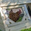Chicken Coop with Chicken Run