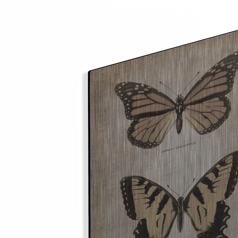 «August Butterflies Duo 1» par August Licensing par Art Licensing Studio, H 16 po x l 16 po
